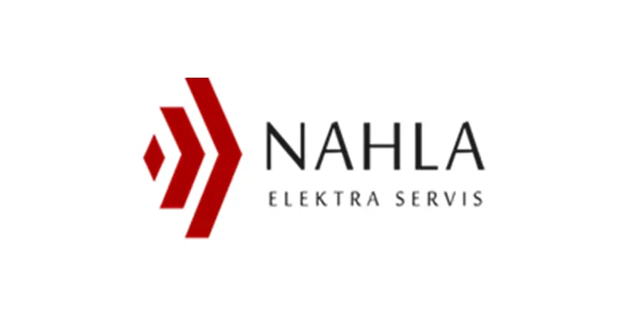 Logo NES